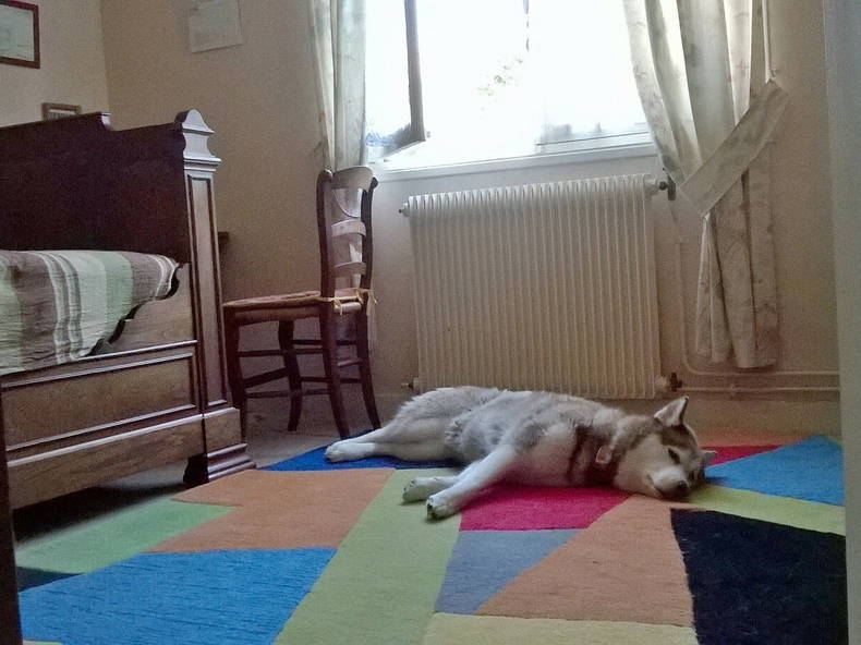 Quedarse En Casa Biarritz 80872-3