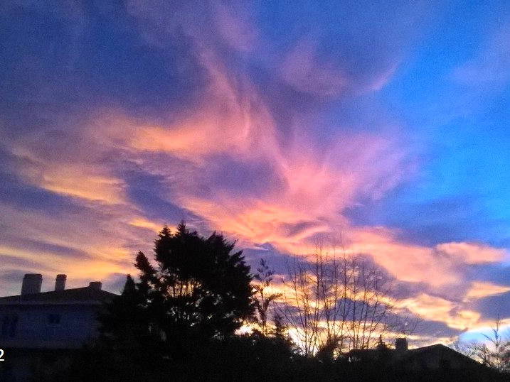 Quedarse En Casa Biarritz 80872-5