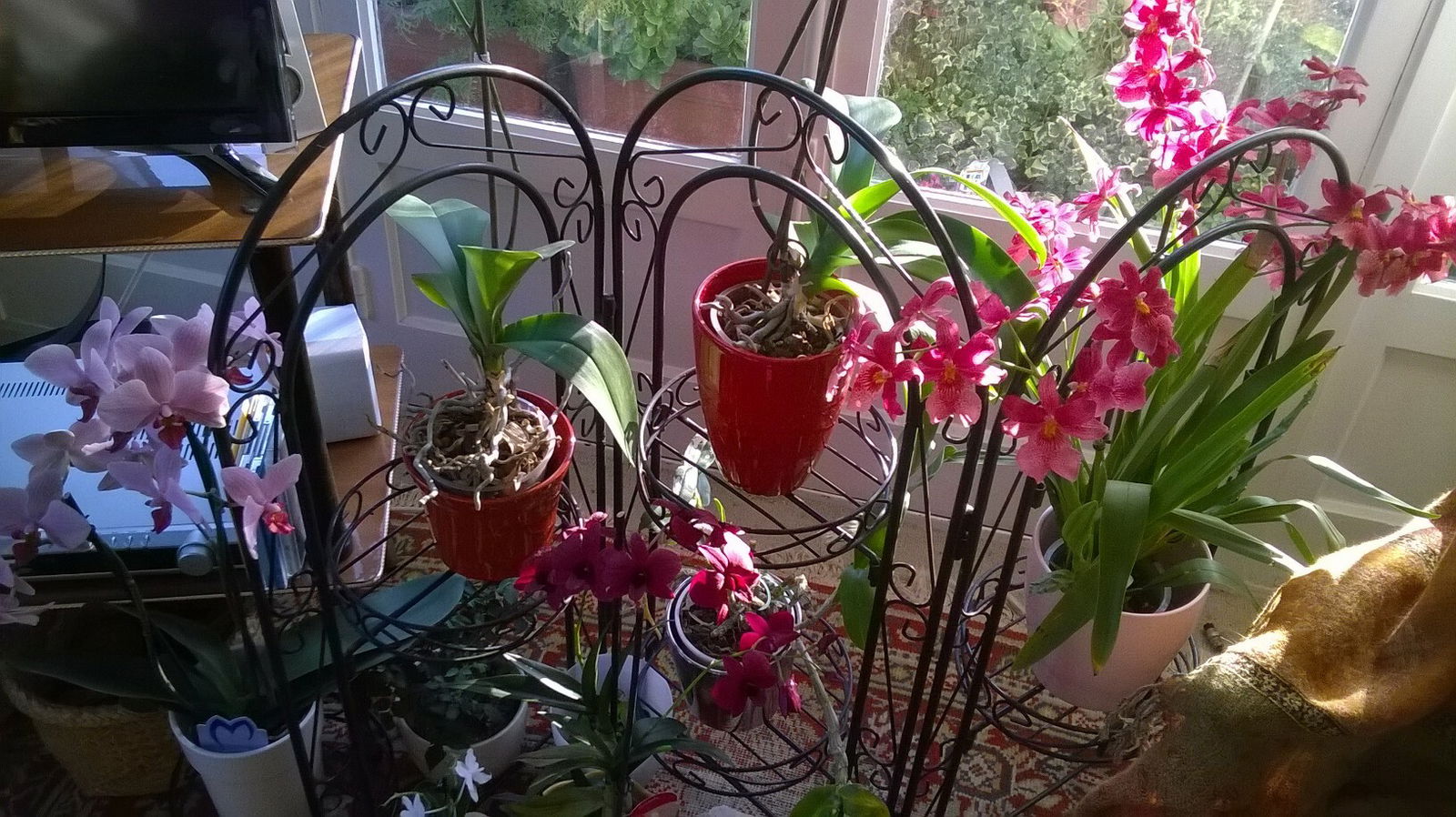 Homestay Biarritz 80872