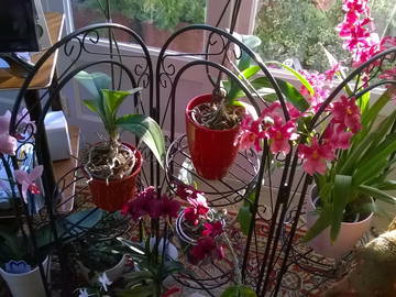 Chambre Chez L'habitant Biarritz 80872-6