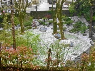 Chambre Chez L'habitant Biarritz 80872-8
