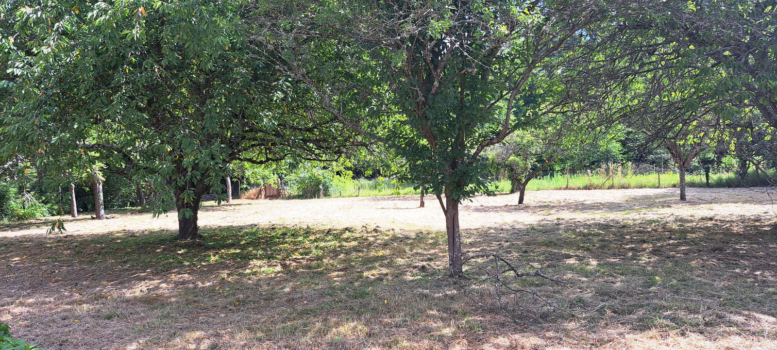 Homestay Valencisse 366728