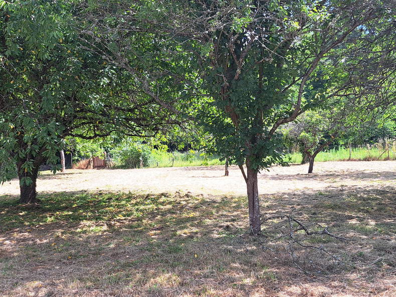 Homestay Valencisse 366728-3