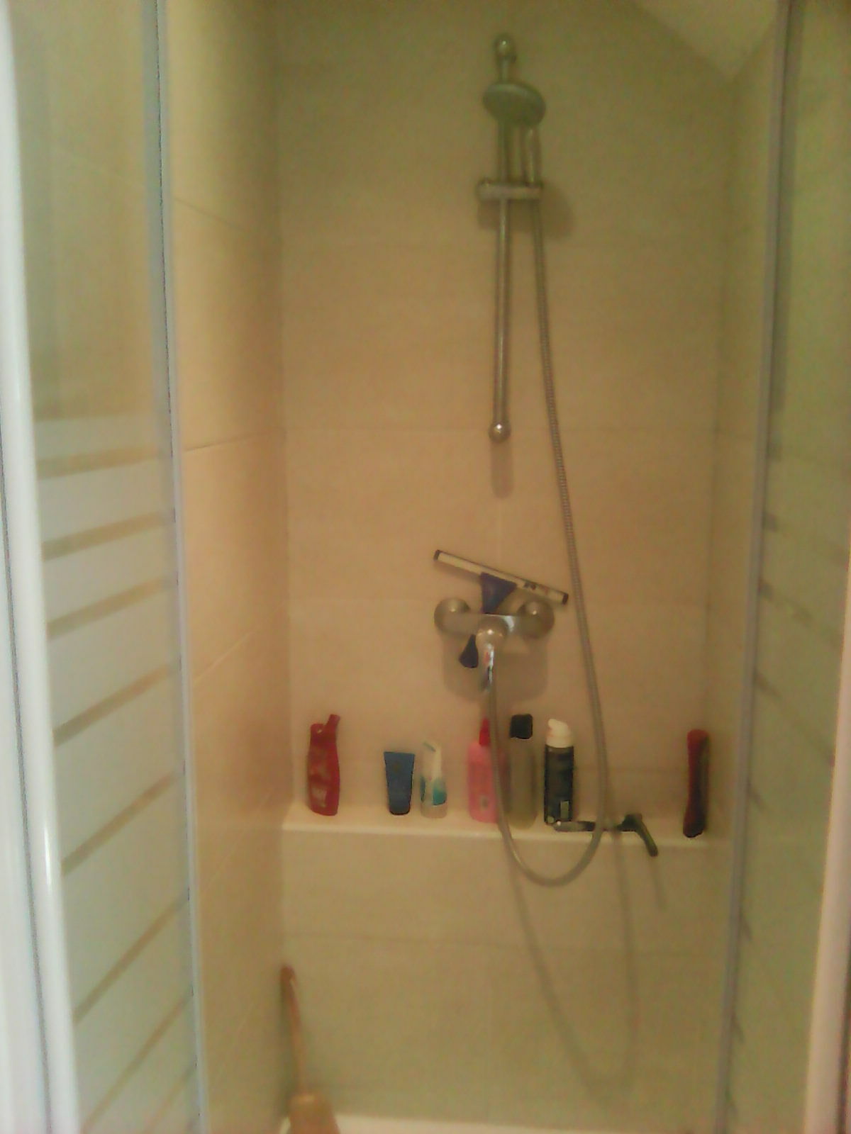 Homestay Firminy 143111