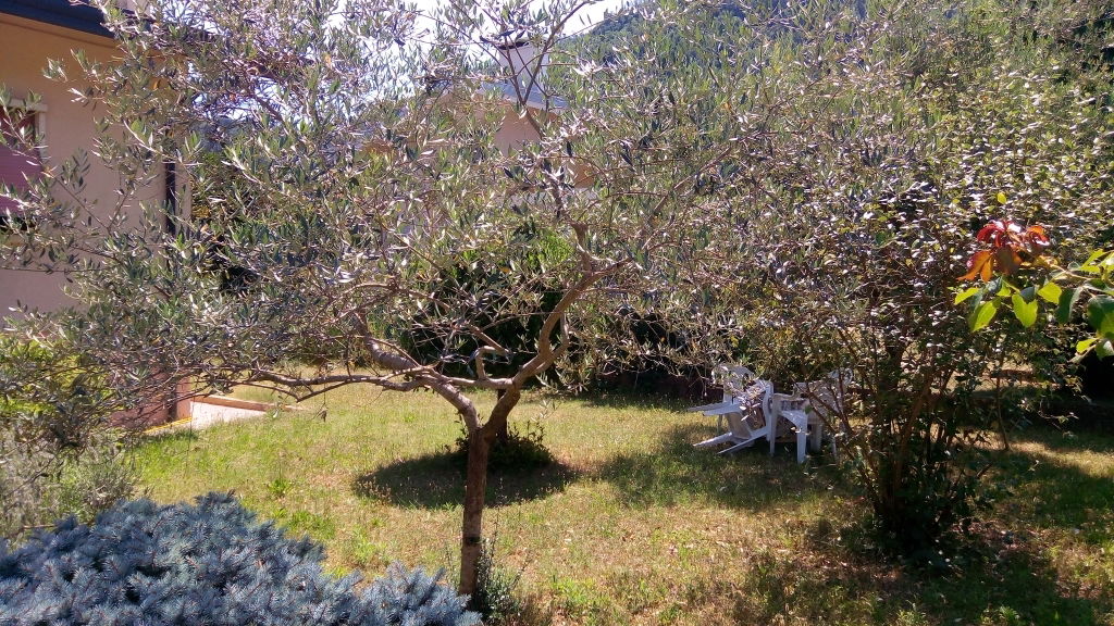 Homestay Pederiva 207600
