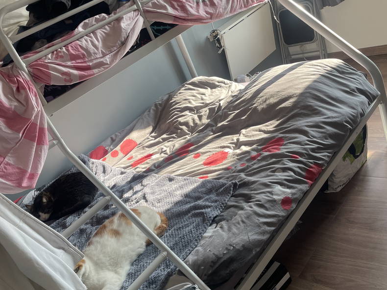 Homestay Pierrelaye 347893-2