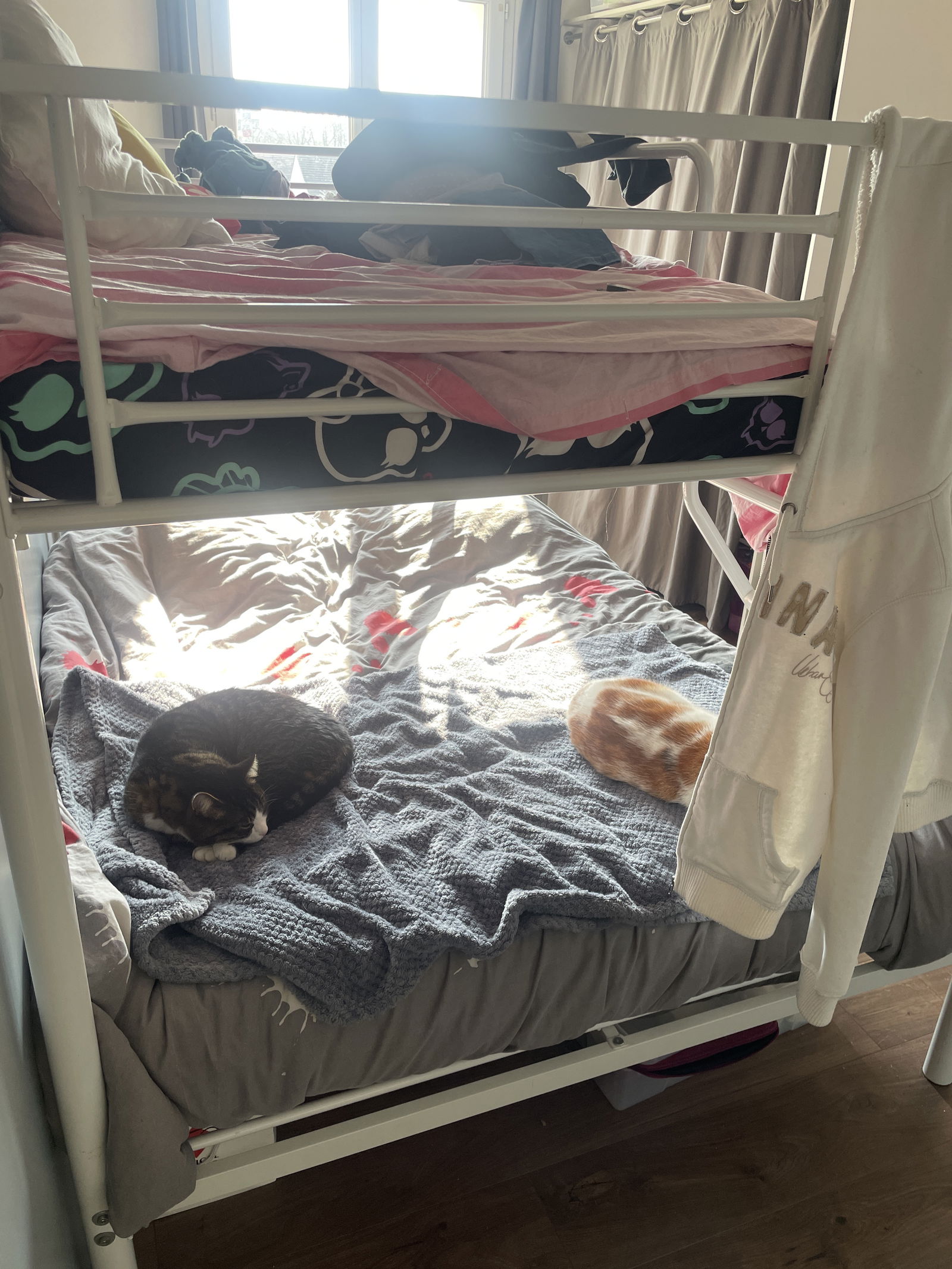 Homestay Pierrelaye 347893