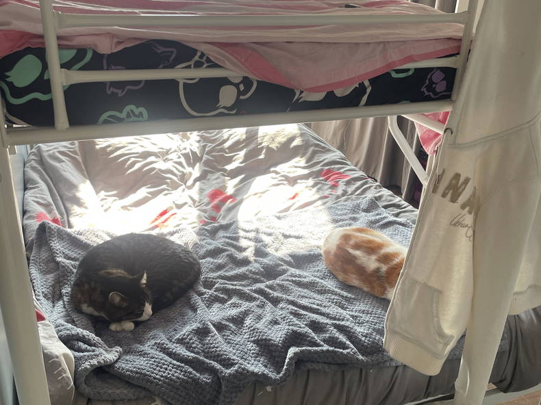 Homestay Pierrelaye 347893-3