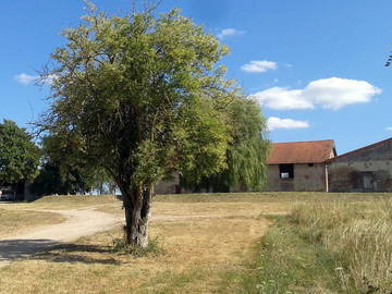 Chambre À Louer Lusigny 21424