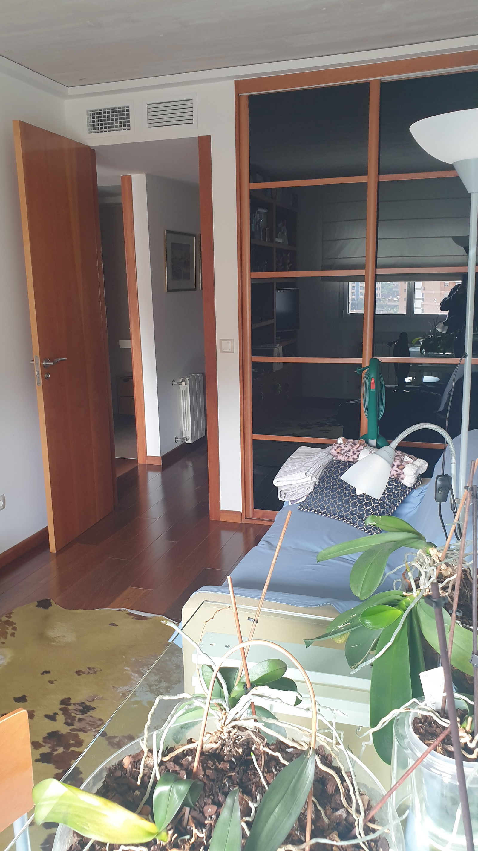 Homestay Alacant 224874