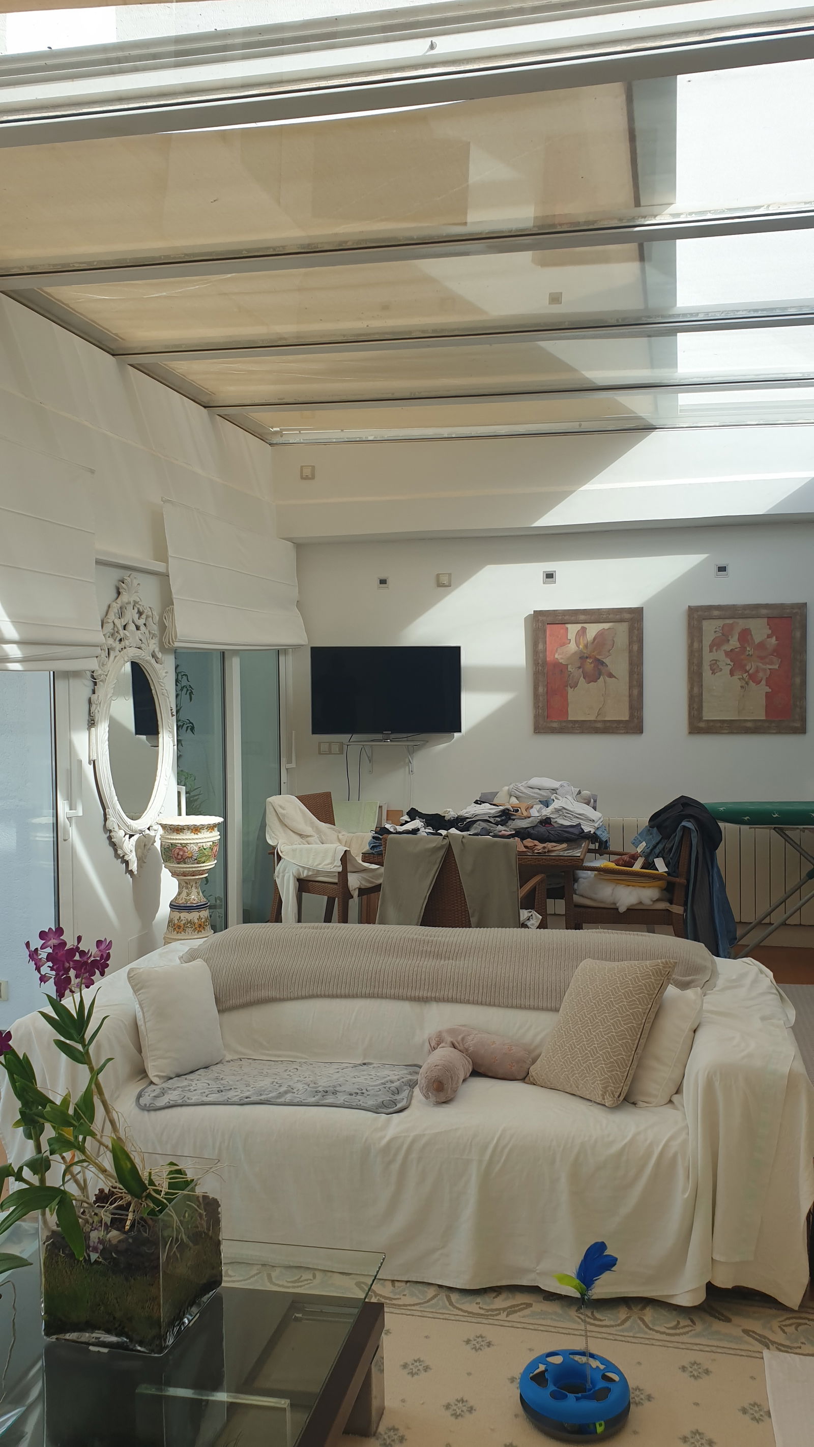 Homestay Alacant 224874