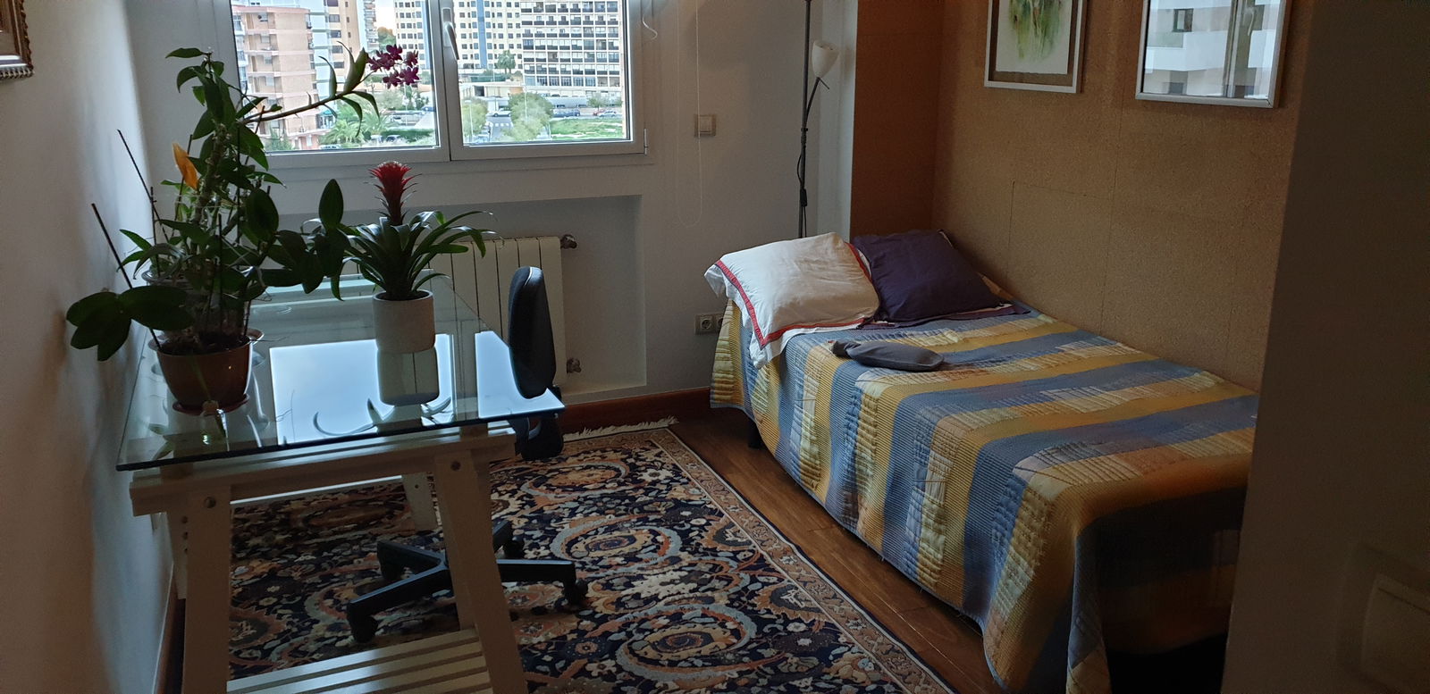 Homestay Alacant 232578