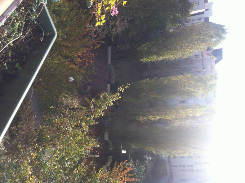 Zakwaterowanie U Rodziny Créteil 117911-2