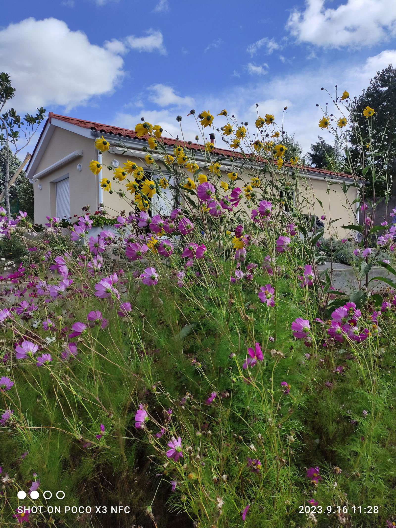 Homestay Chazelles-sur-Lyon 288631