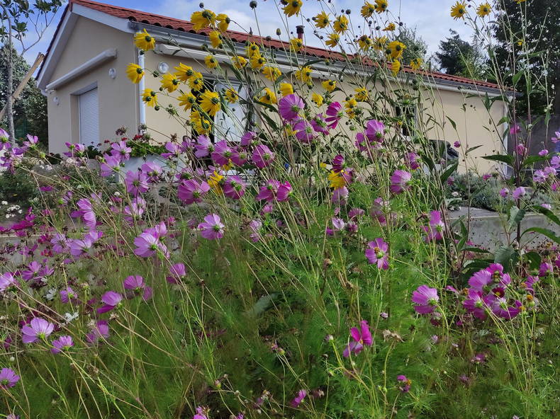 Gastfamilie Chazelles-sur-Lyon 288631-3