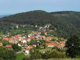 Ganzes Haus Grendelbruch 99854-3