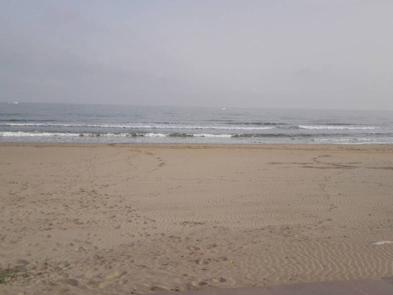 Toda La Casa Orpesa 126853-3