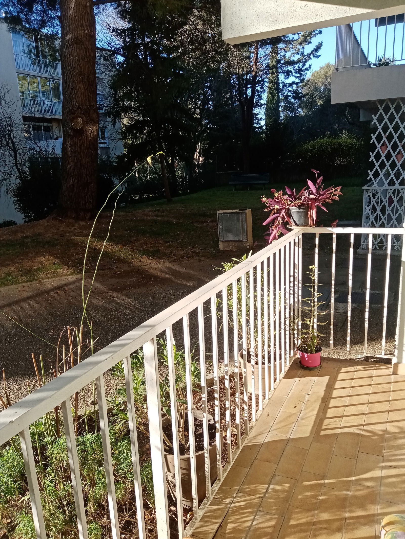 Homestay Nîmes 250197