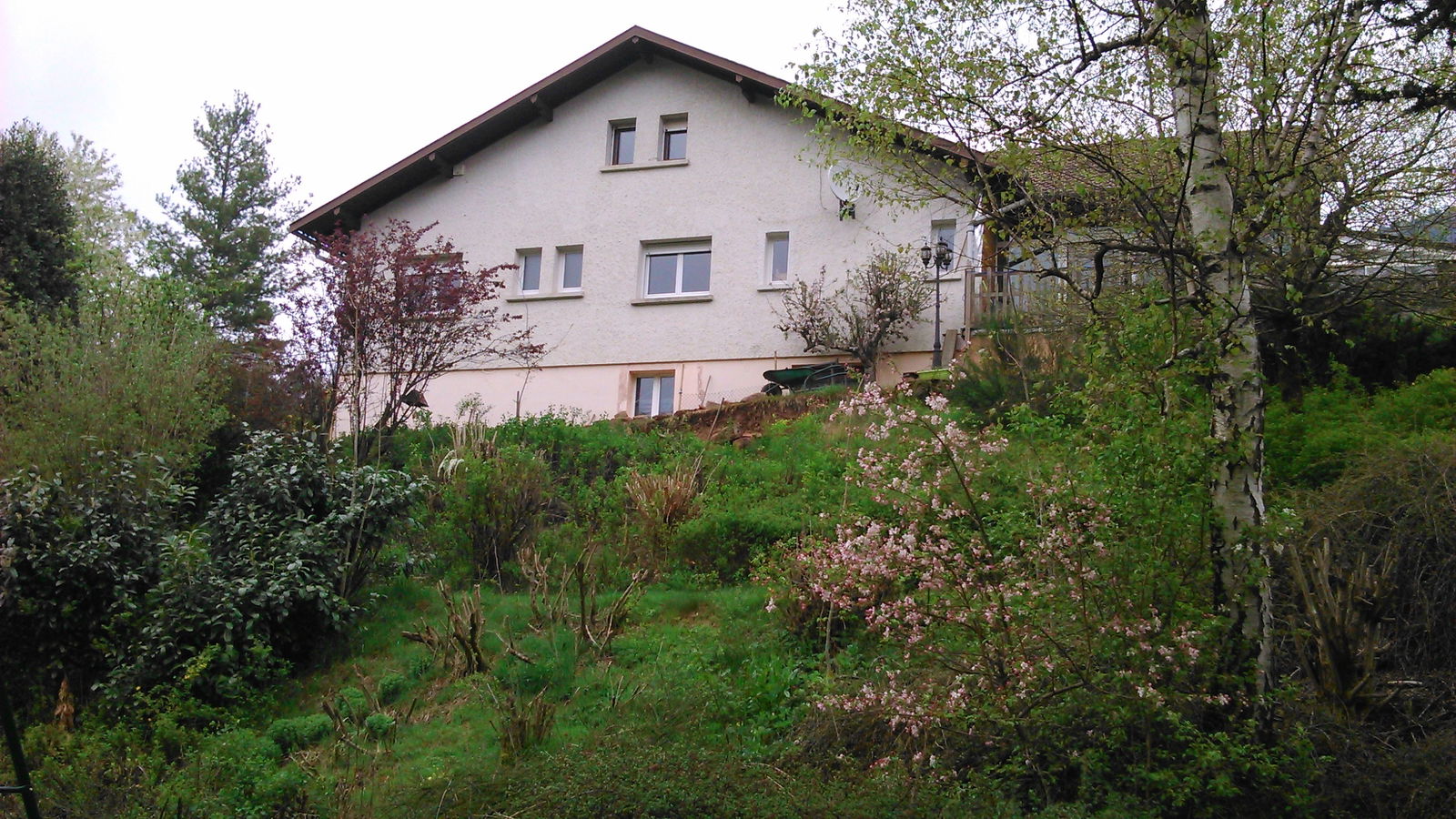 Homestay Taintrux 82871