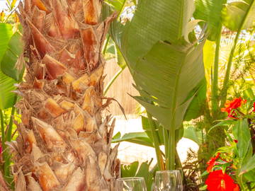 Tutta La Casa Hyères 217166-8