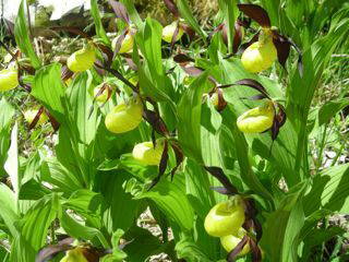 Logement Entier Moloy 32244-6