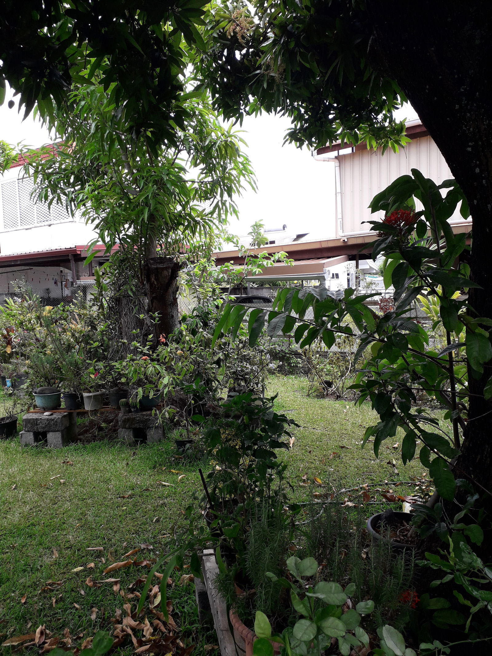 Homestay Papeete 210359