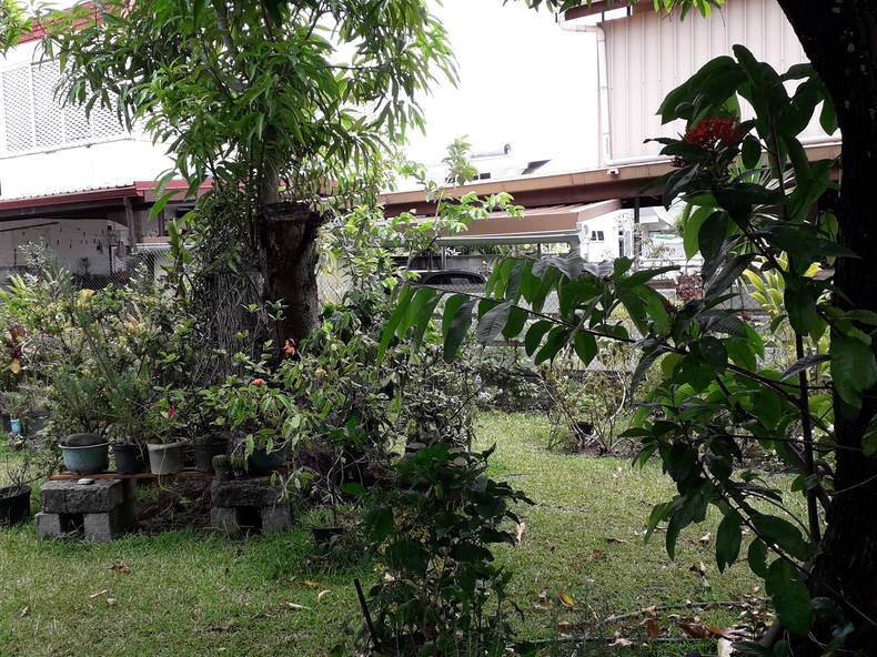 Chambre Chez L'habitant Papeete 210359-1