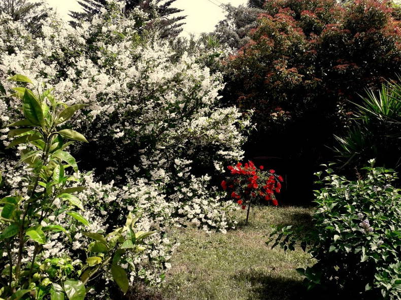 Gastfamilie Montpellier 166015-2