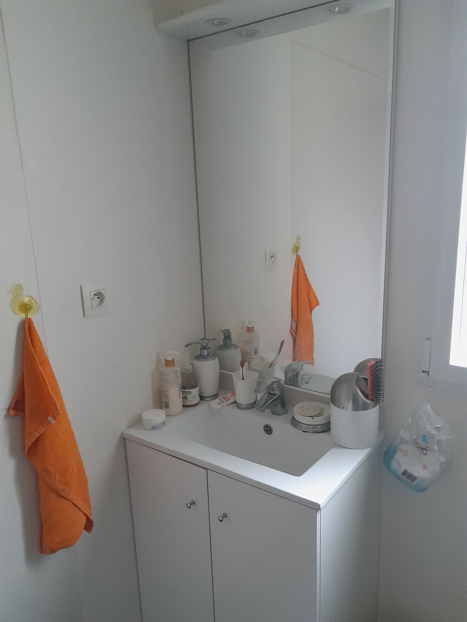 Homestay Nantes 256290