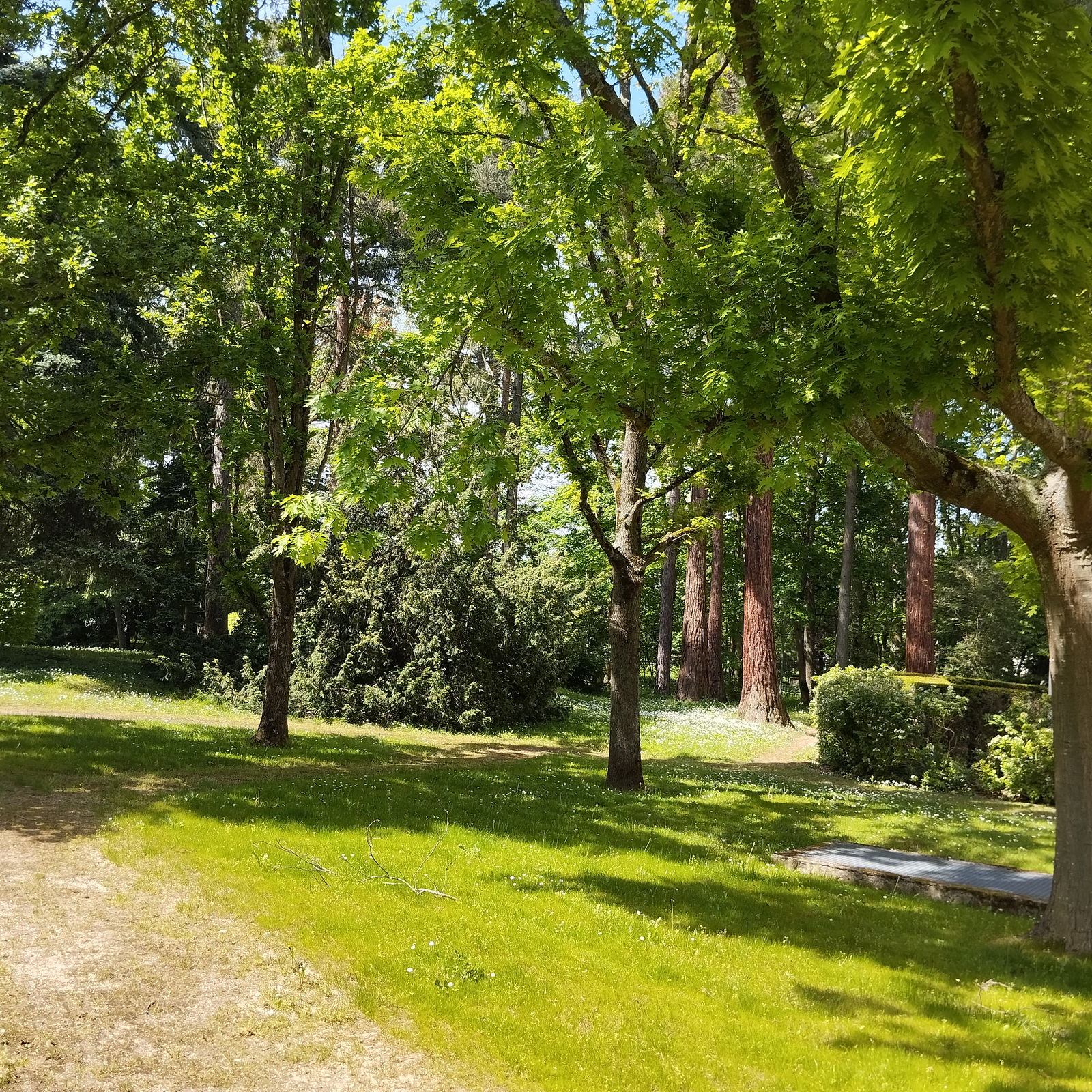 Homestay Versailles 379062