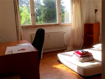 Roomlala | Rental In Strasbourg-Sud