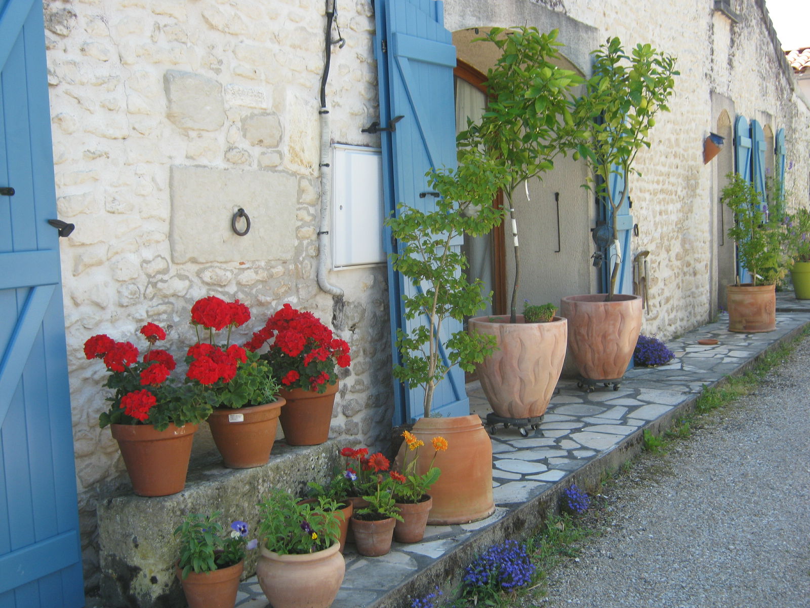 Bed And Breakfast Saint-Sever-de-Saintonge 97311