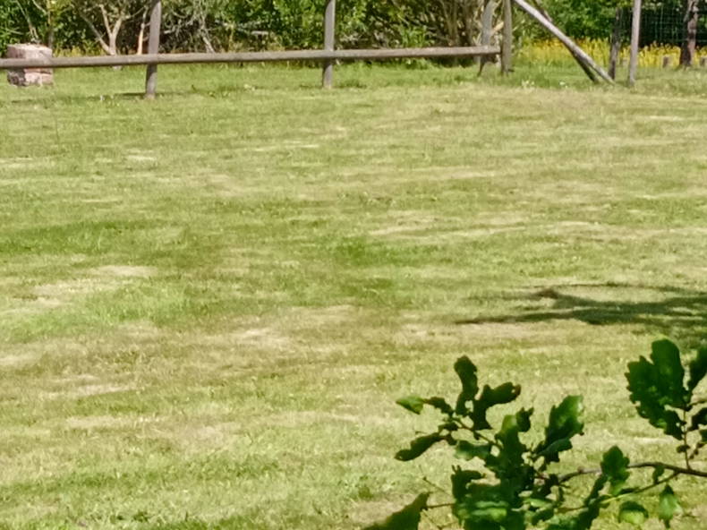 Quedarse En Casa Laigné-en-Belin 266820-3