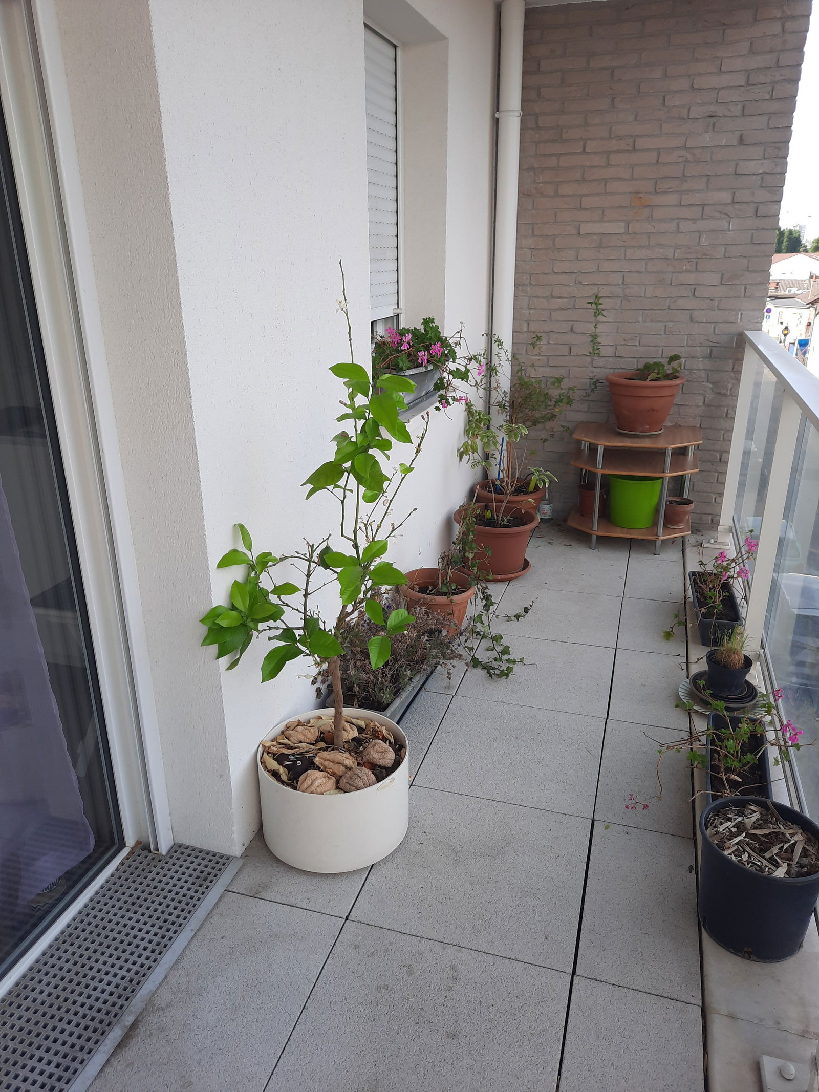 Homestay Romainville 259428