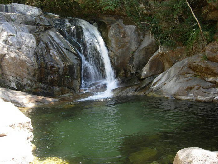 Chambre À Louer Zicavo 64031