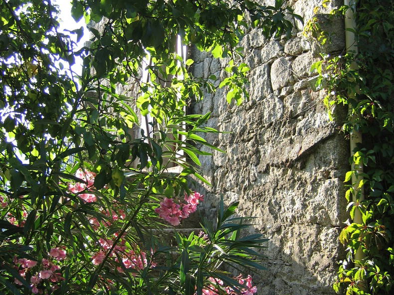 Ganzes Haus Zicavo 64031-5