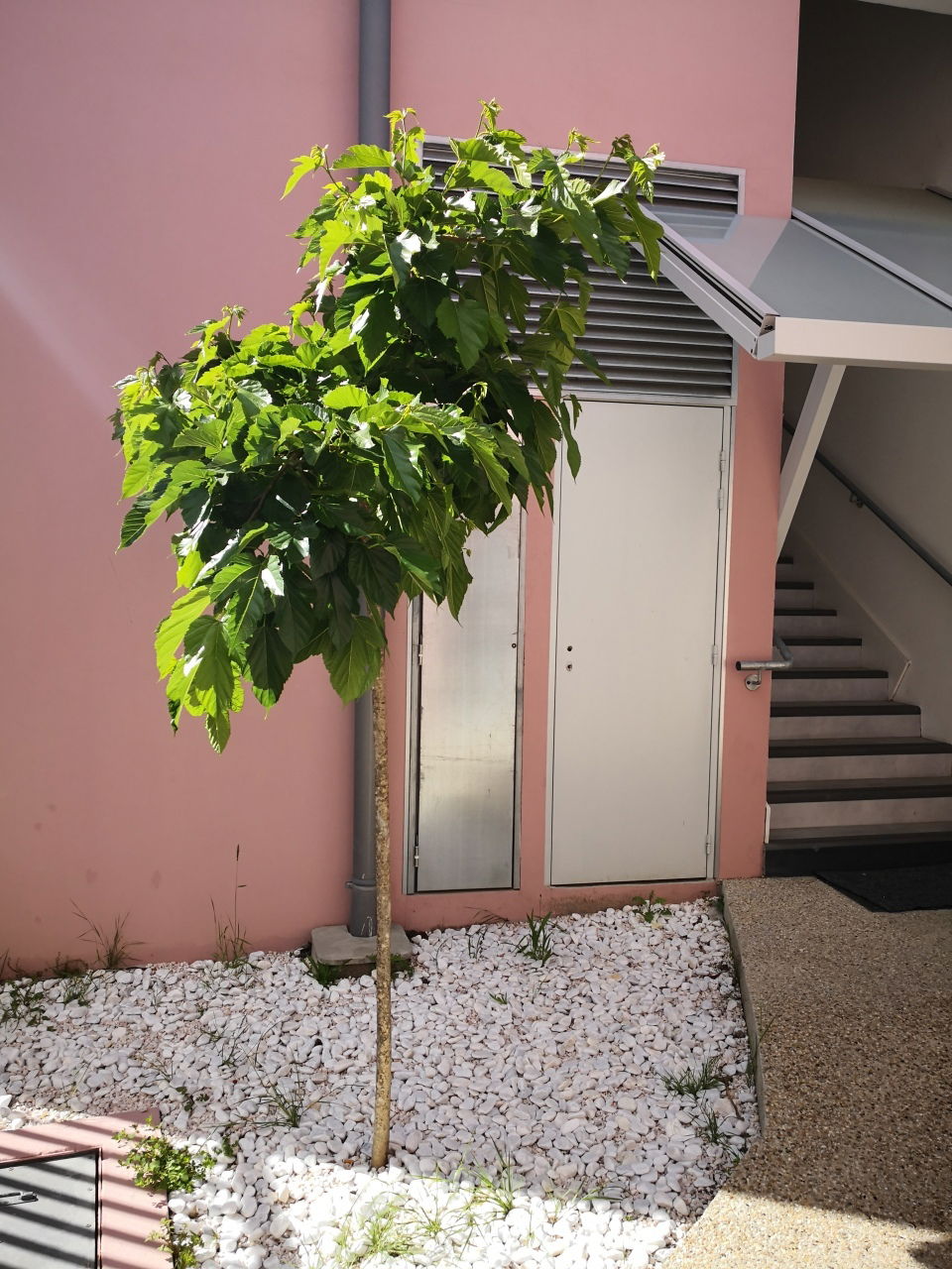 Homestay Bordeaux 253471