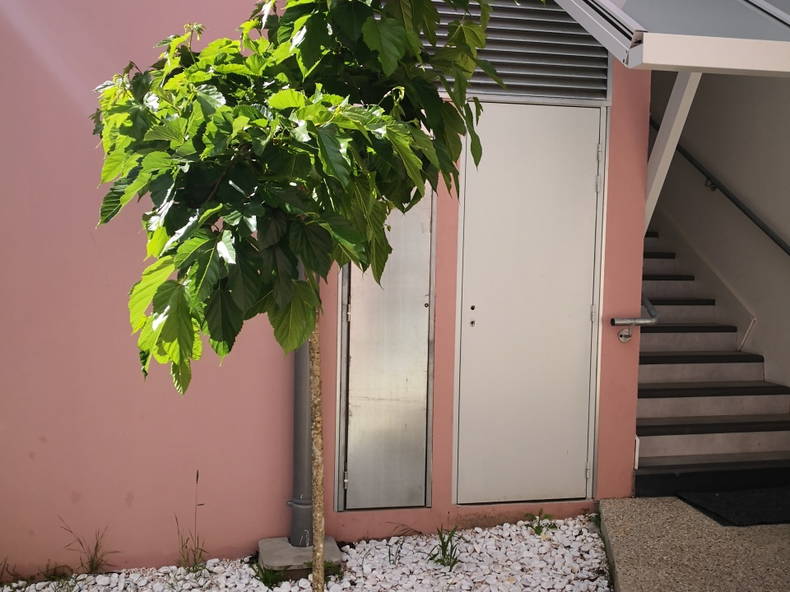 Homestay Bordeaux 253471-4