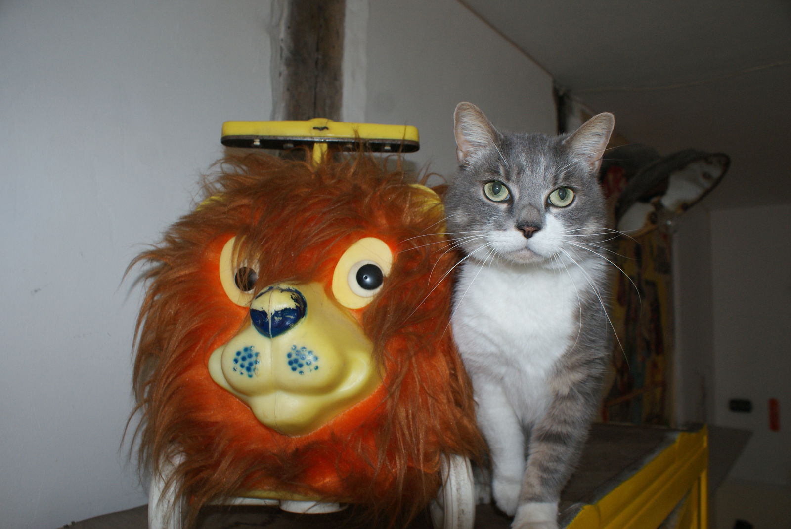 Homestay Bourges 251129