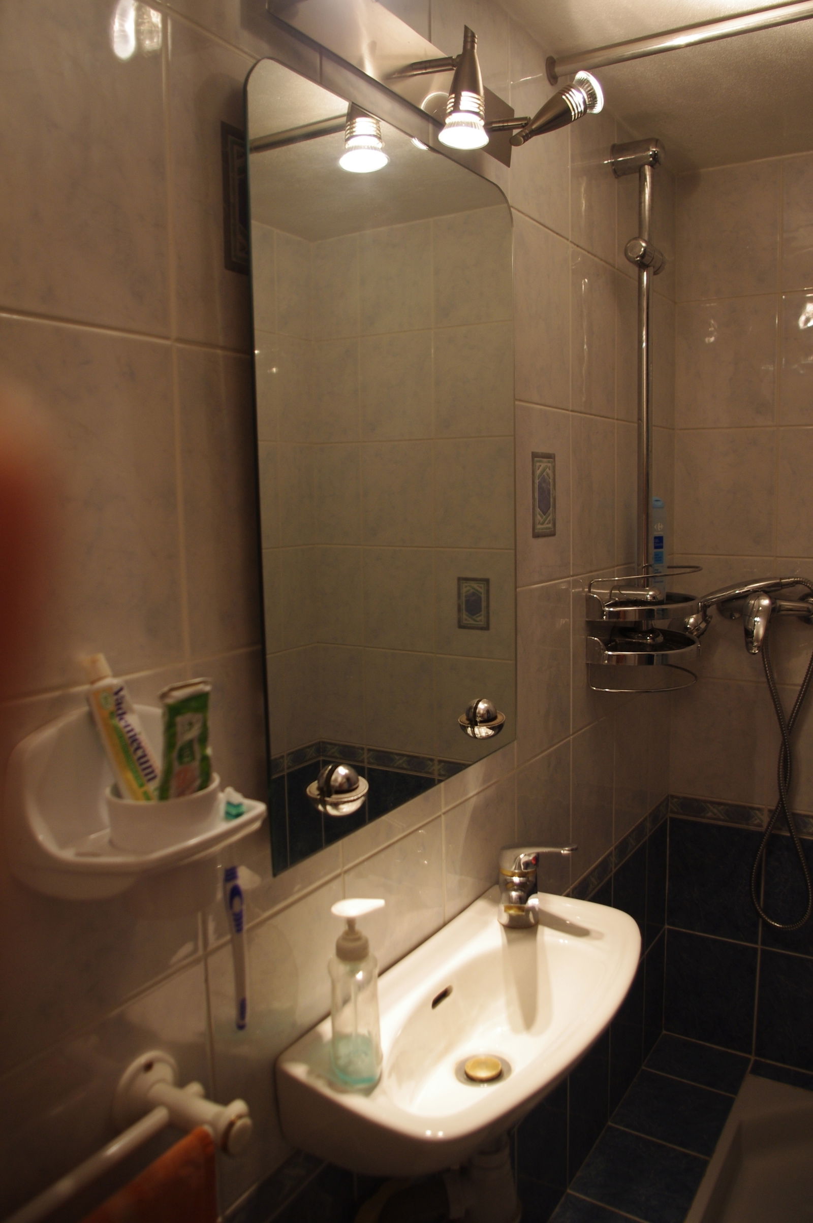 Homestay Grenoble 84278