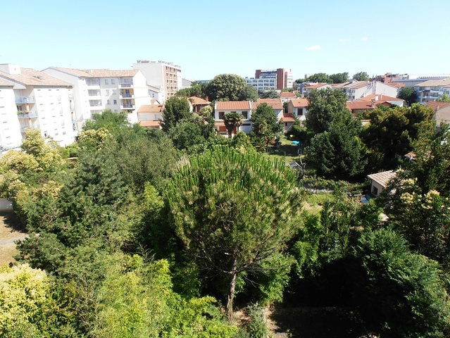 Homestay Toulouse 3995