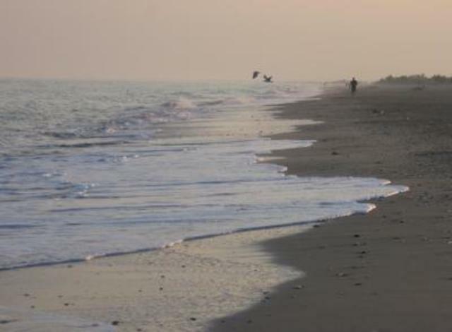 Independent Studio Villeneuve-lès-Maguelone 48537