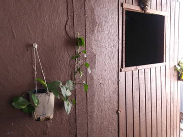 Chambre Chez L'habitant Tijuana 253808-2