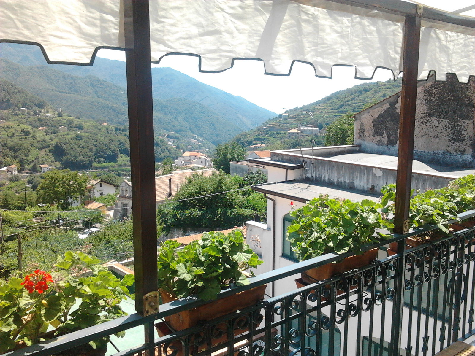 Homestay Carbonaro 193798