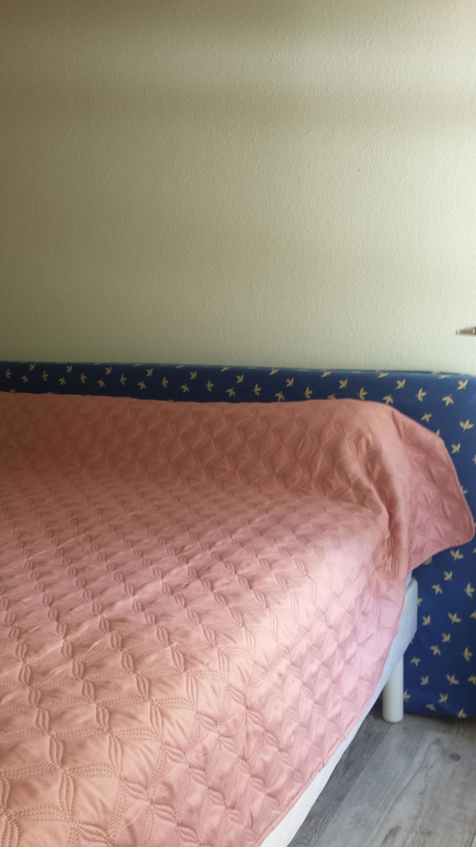 Tutta La Casa Talmont-Saint-Hilaire 161666