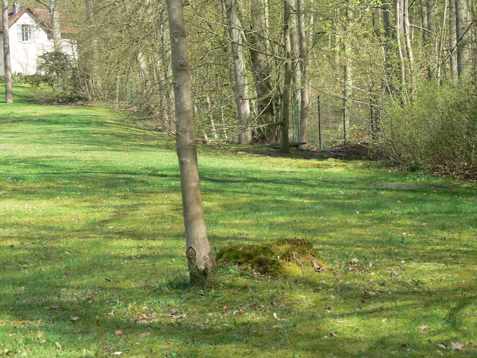 Oberoende Studio Coye-la-Forêt 172615