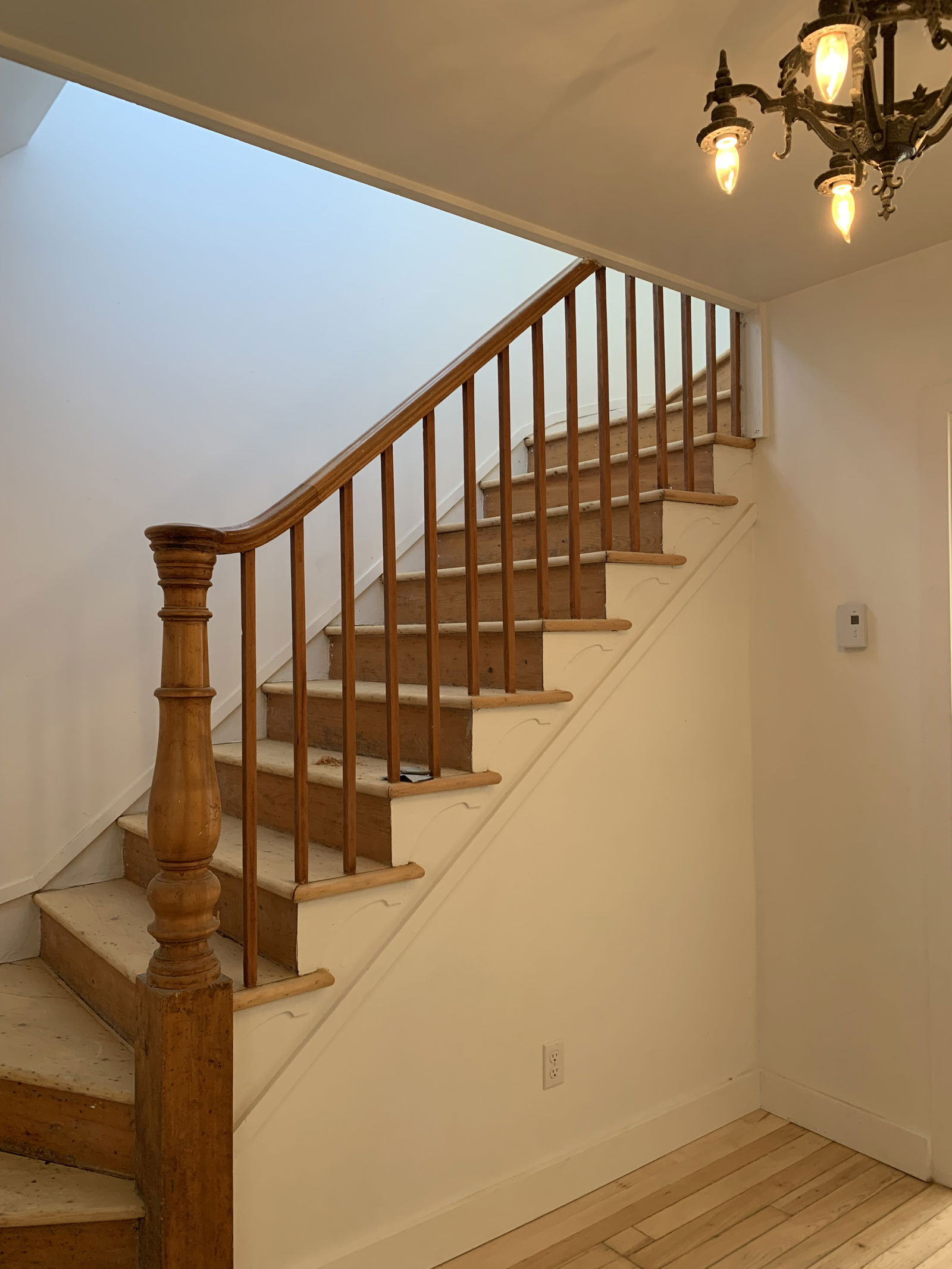 Coliving Sherbrooke 651756