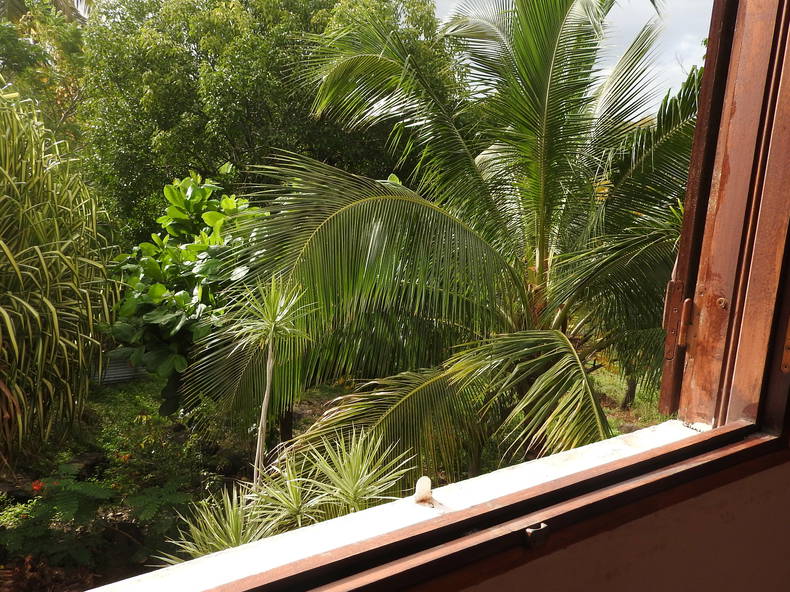 Ganzes Haus Basse-Terre 183534-3