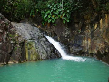 Logement Entier Basse-Terre 183534-4