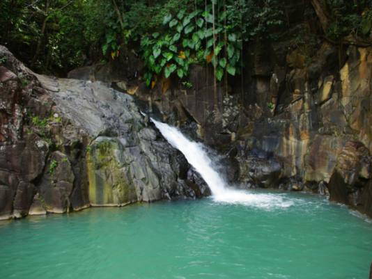 Ganzes Haus Basse-Terre 183534-4